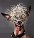 Peskar