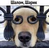 Роман Ростовский